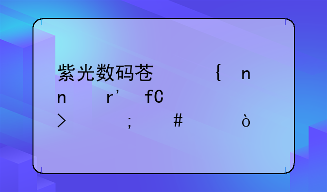 紫光数码苏州集团有限公司怎么样？