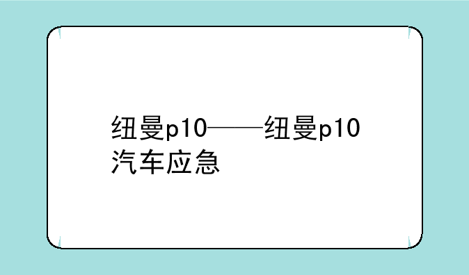 纽曼p10——纽曼p10汽车应急