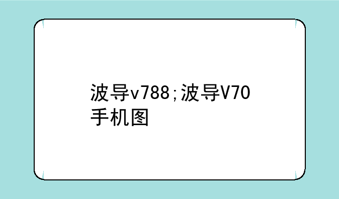 波导v788;波导V70手机图